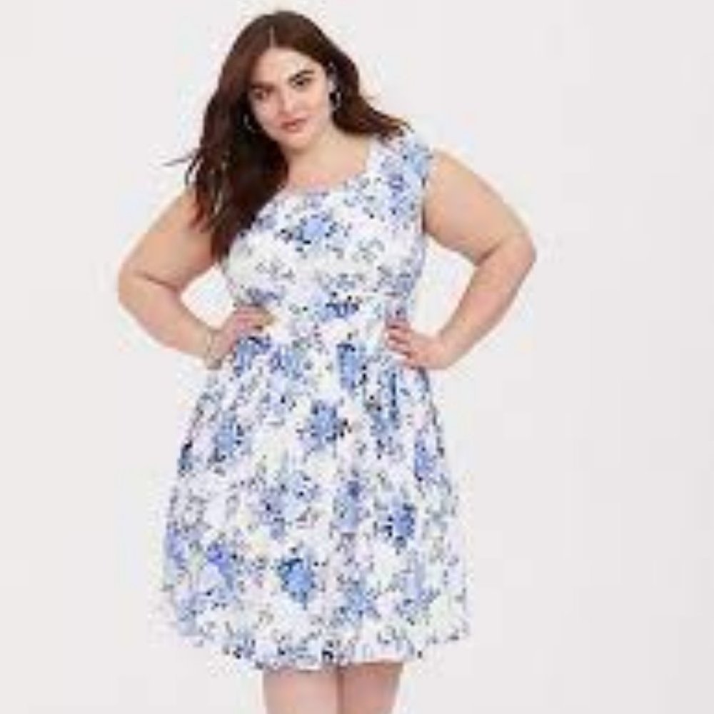 Blue Floral Challis Skater Dress size 2